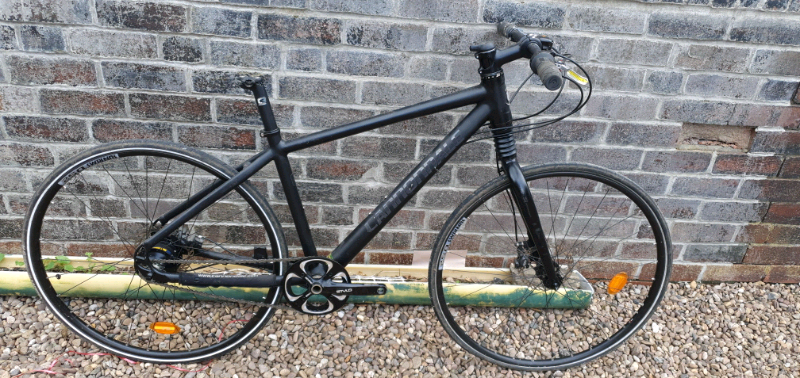cannondale bad boy rohloff